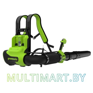 Воздуходувка Greenworks GD40BPG2 2408107 (без АКБ) картинка 2